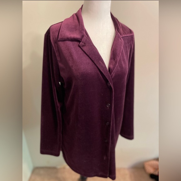 Vintage Plum Velour Blouse - Picture 3 of 6